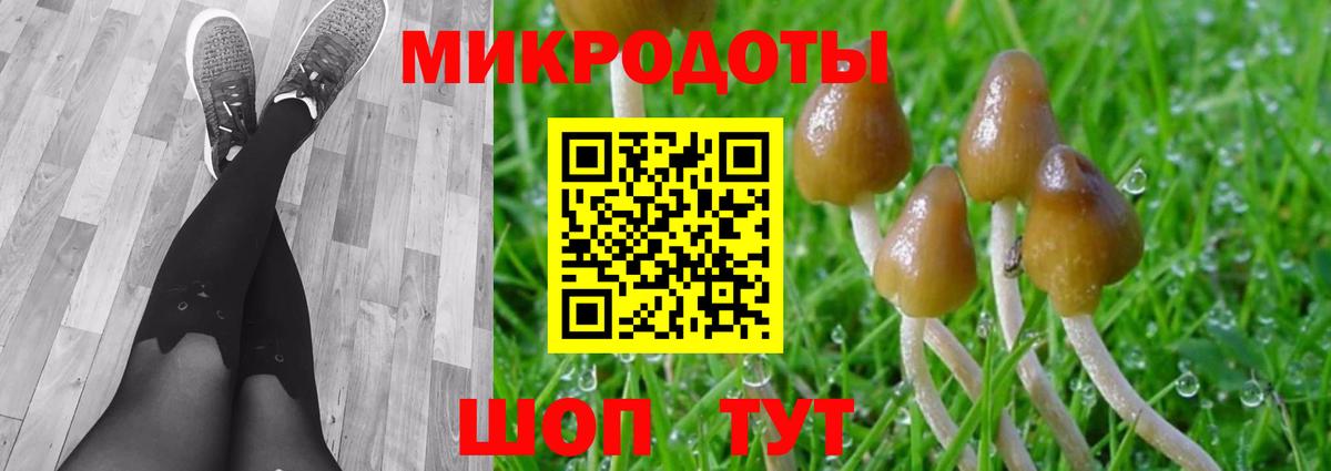 Ахтубинск  Псилоцибиновые грибы MAGIC MUSHROOMS  магазин    Вход с VPN 